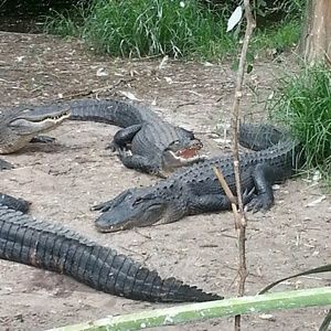 Meet your Posher, Dan